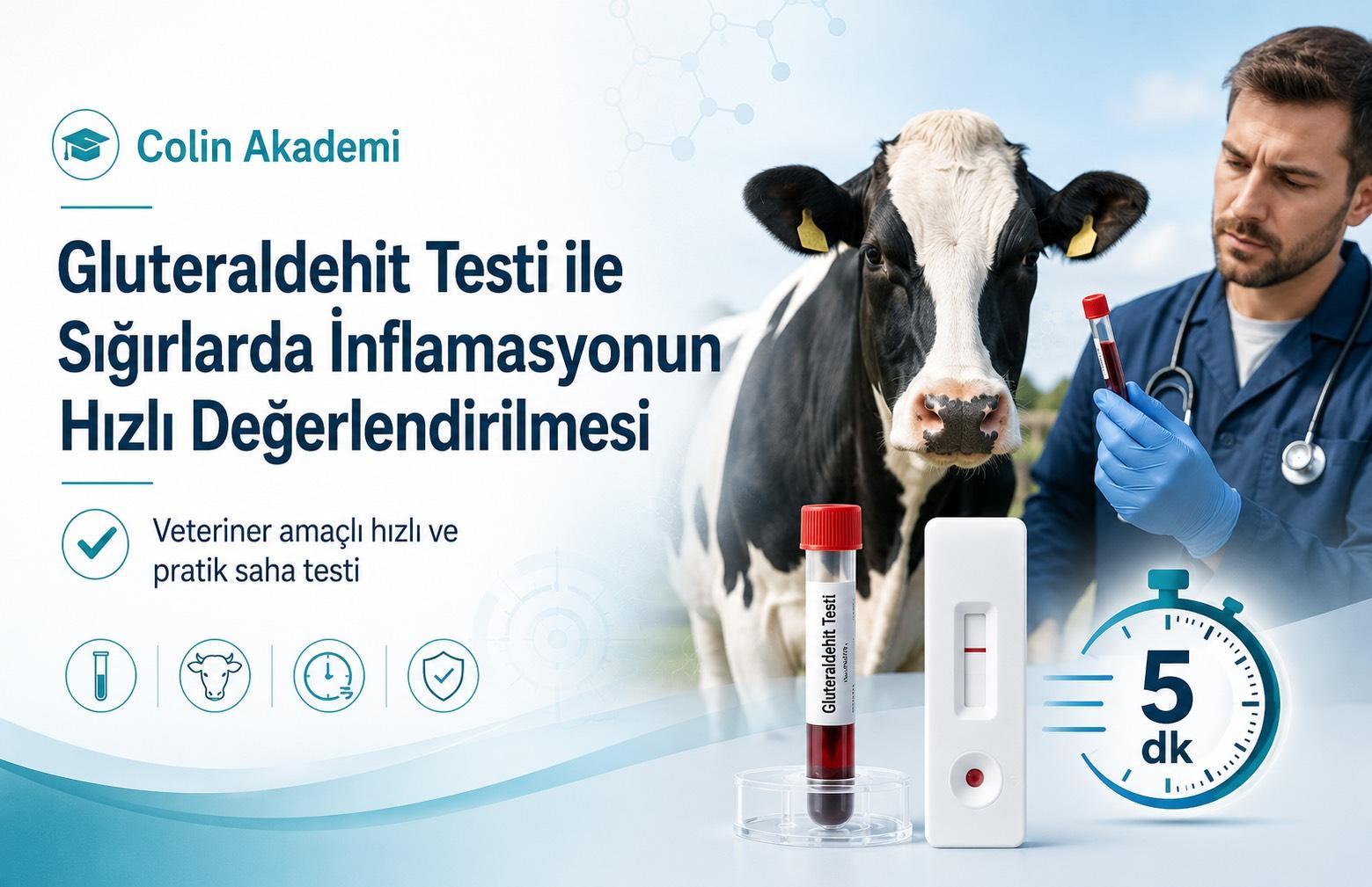 Glutaraldehyde Test Kit (Veterinary Use) – Clinical Significance and Rationale for Use