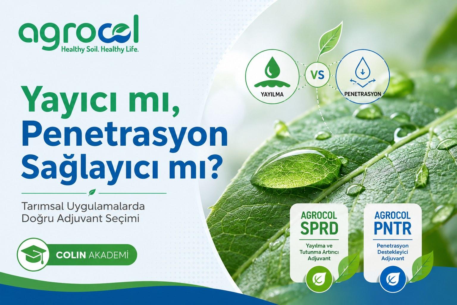 Spreader or Penetration Enhancer? Choosing the Right Agricultural Adjuvant